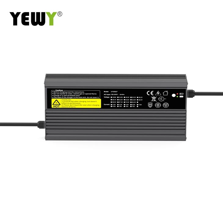 48V intelligent lithium ion battery charger best